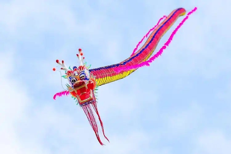 揭开良渚春日面纱 | "大美良渚 石桥牧歌"活动正在精彩进行中_游客_风