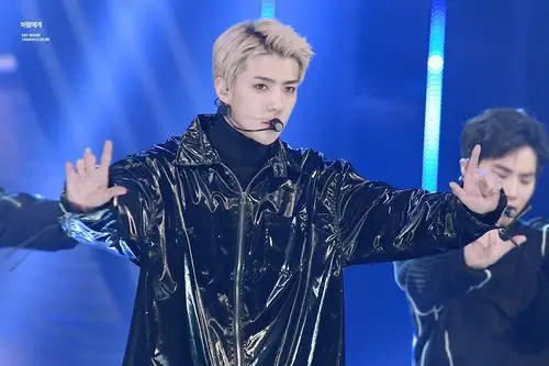 exo sehun 吴世勋161116 asia artist award… - 堆糖,美图壁纸兴趣