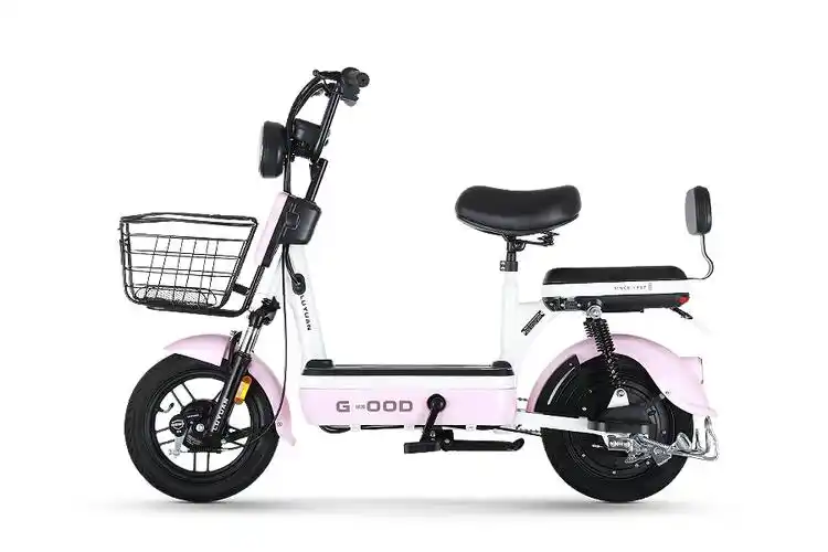 绿源电动车fba2-小青果 图片