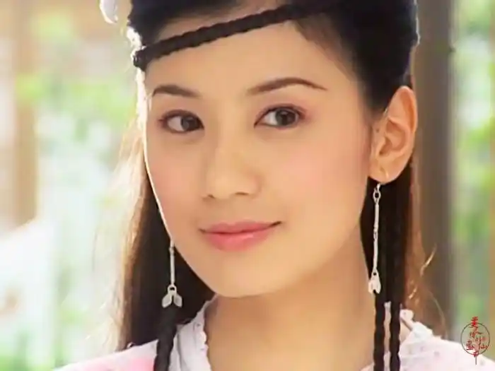 14,胡军2003版《天龙八部》饰演乔峰.