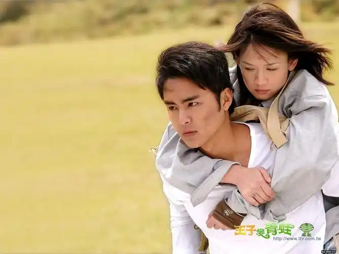 台湾爱情电视剧(台湾电视剧大全)