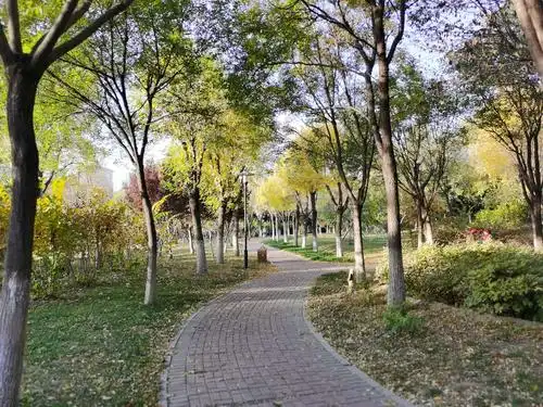 发现身边的美---晨走博大公园