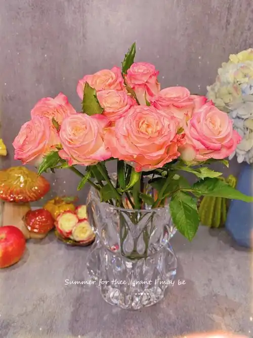 亚斯卡玫瑰61臻品可能会无限回购的一种玫瑰