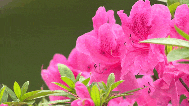 798_449gif 动态图 动图