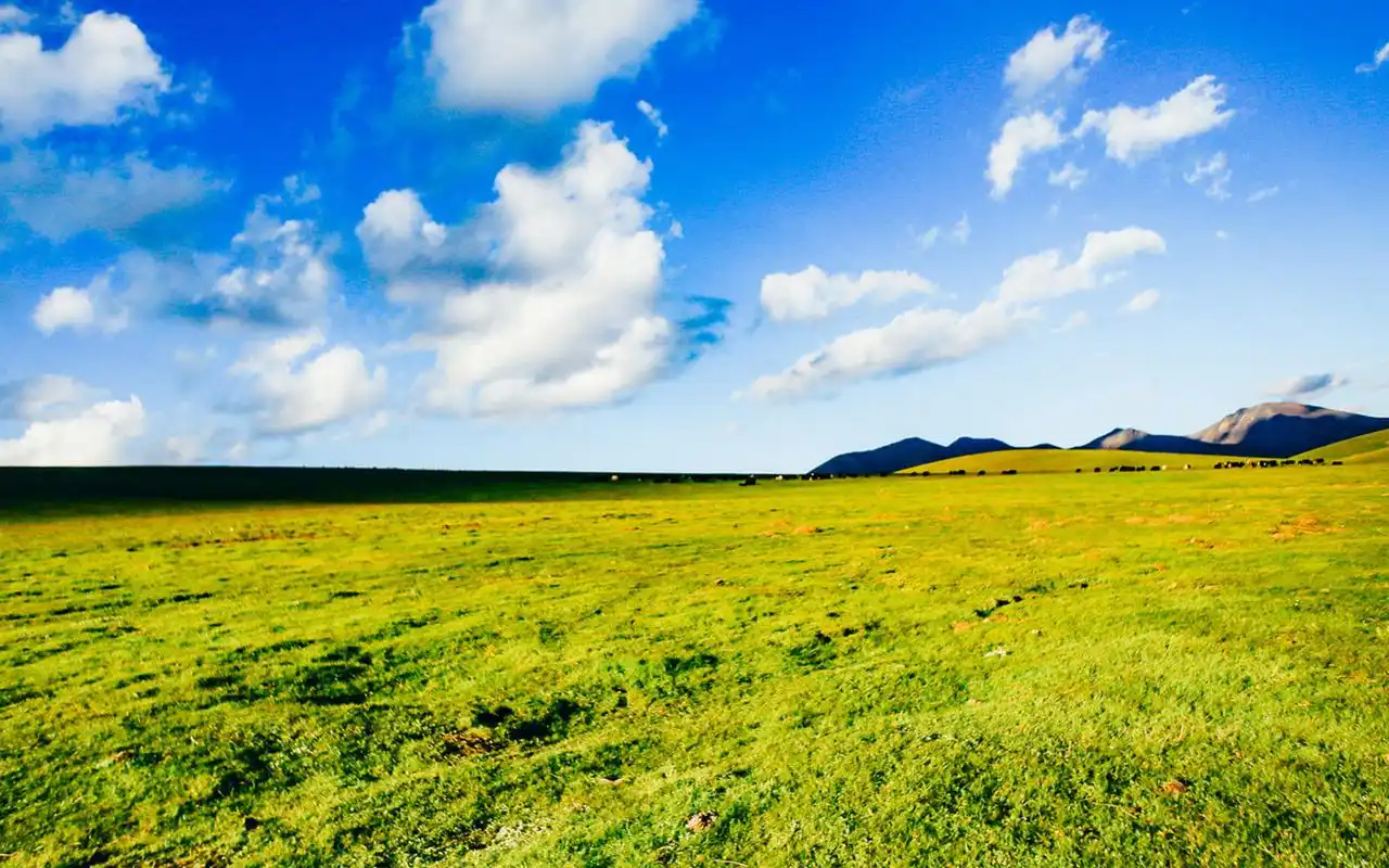 辽阔的绿色大草原美景摄影图片电脑壁纸高清大图预览1920x1200_风景