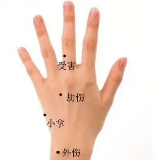 手掌痣的位置与命运,掌背有痣图解