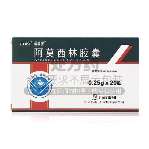 石药 阿莫西林胶囊 0.25g*20粒/盒 rx