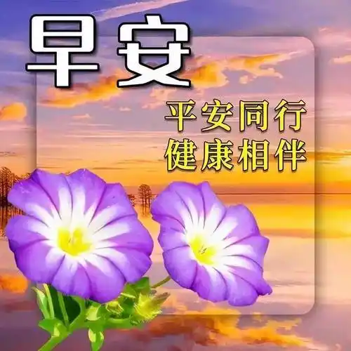 周三愉快,精选10张适合发群发圈的清晨早上好图片,暖心早安短信祝福语