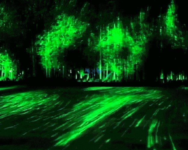 700_561gif 动态图 动图