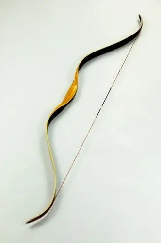 特别奖(1个):由厦门汉弓社提供的羚羊1传统弓(价值2300元)