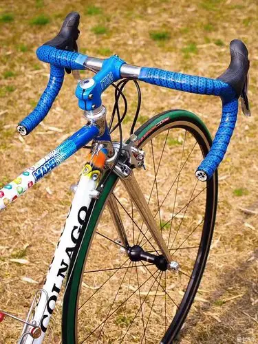 中了梅花钢架的毒