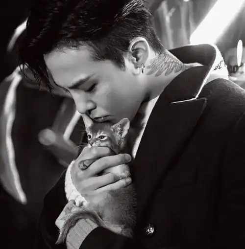 微信头像权志龙