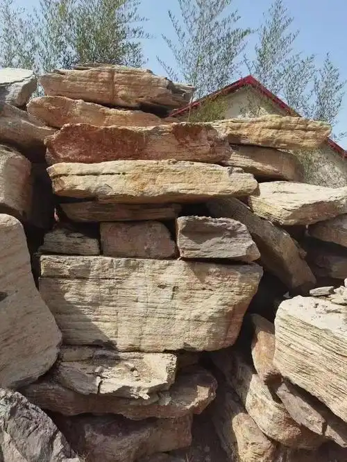 千层石可以放置在我们家中的客厅,不仅可以摆放在客厅,书房或者玄关处