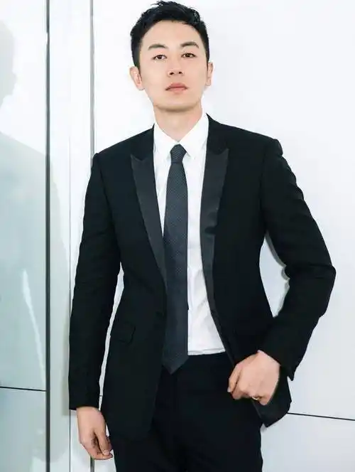 演技被严重高估的男演员排行榜(含香港)_top_角色_类型