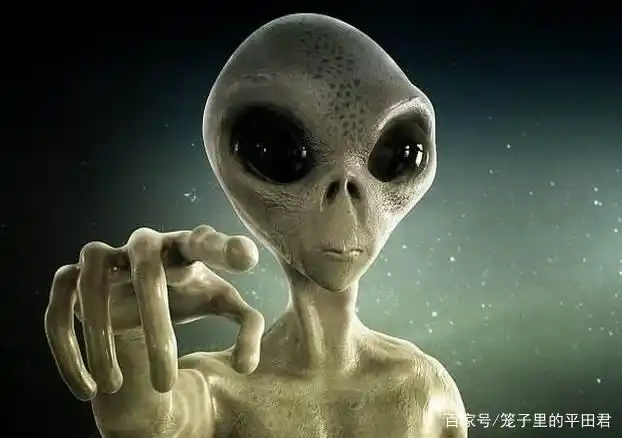 外星人有可能比蚂蚁还小吗?网友:这就是找不到外星人的原因?