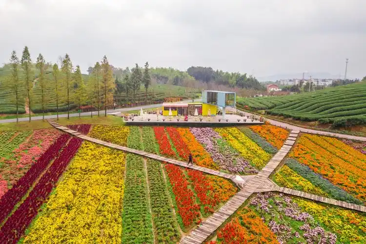 我们从武义县城驱车到花田小镇大概40分钟,从热闹的现场渐渐来到了