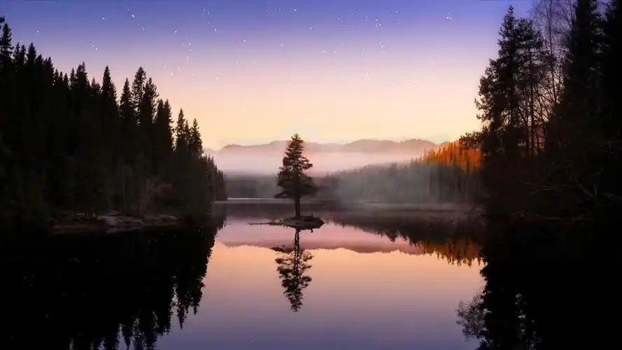 【lofi playlist】 "那里湖面总是澄清 那里空气充满宁静"|放松|学习