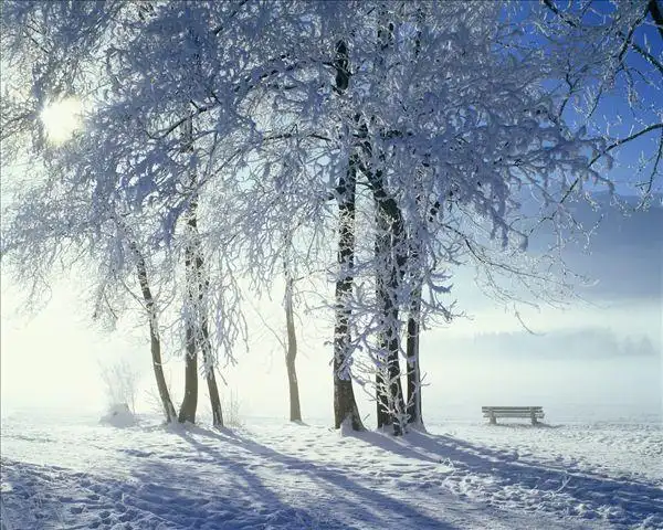 冬季图片_冬季图片大全_全景图片