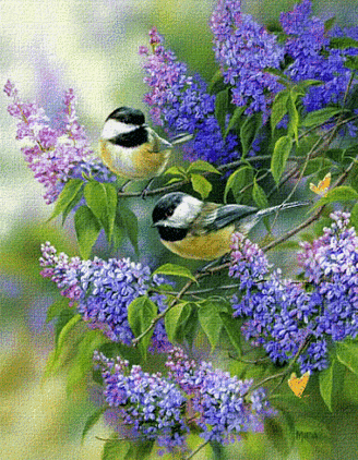 藩篱小鸟何甚微,翩翩日夕空此飞.只缘六翮不自致,长似孤云无所依.