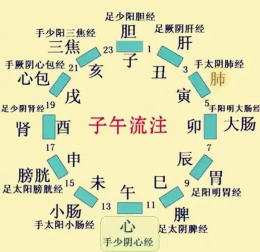 养生须知——脏腑与时辰的关系