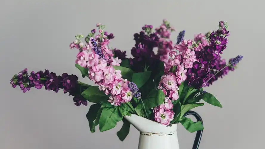 简约淡雅壁纸(小清新静态壁纸) - 静态壁纸下载 - 元气壁纸