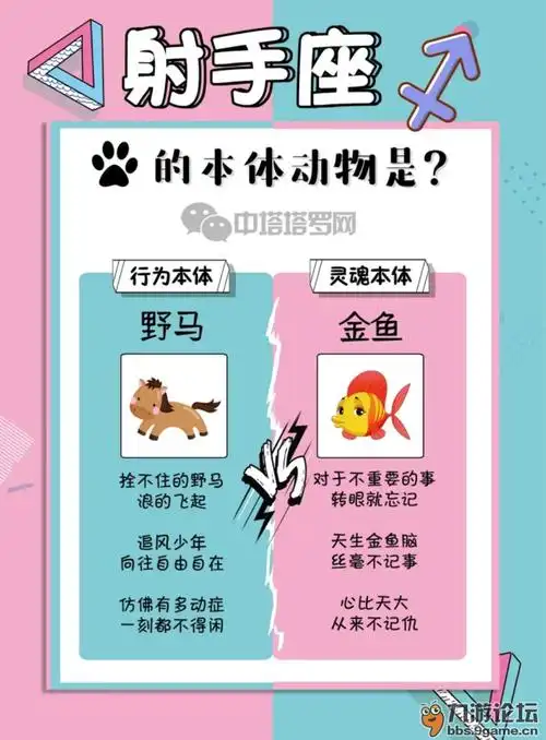 十二星座的本体动物是什么上