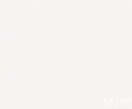 斯米克-纯色系列-u015爵士白-800×800mm