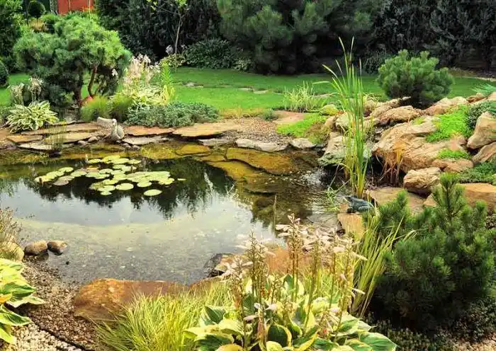 自然水景  more - 各式水景 - 景观展示 - 广州市致胜园林设计工程有