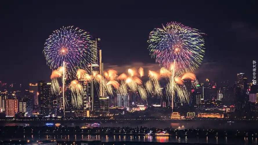 2020,和你爱的人去看一场烟花吧 (图源水印)