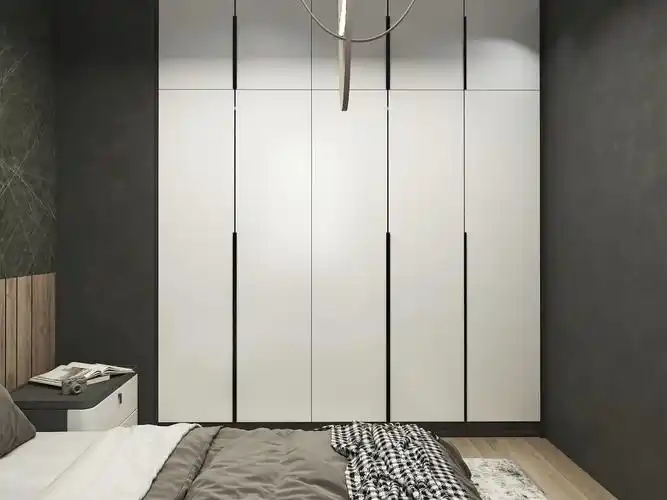 设计平开门衣柜加效果图