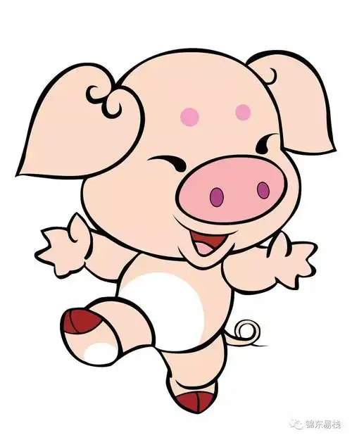 1995年属猪的运势