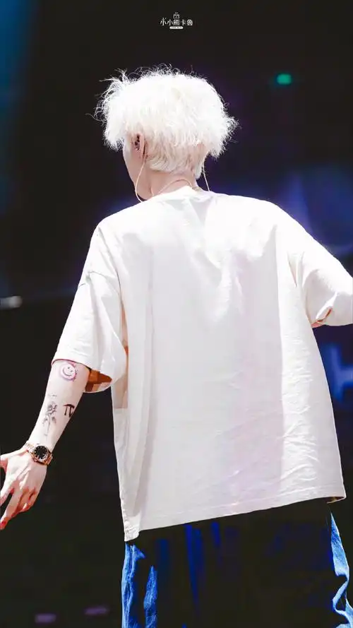 鹿晗演唱会背影图##鹿晗三巡