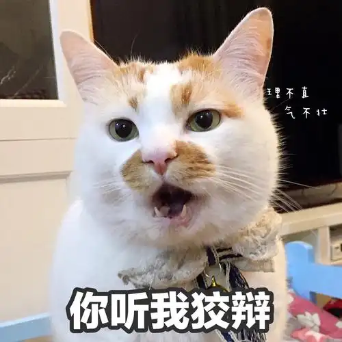 楼楼 猫 可爱 萌宠 表情包 头像 沙雕 搞笑