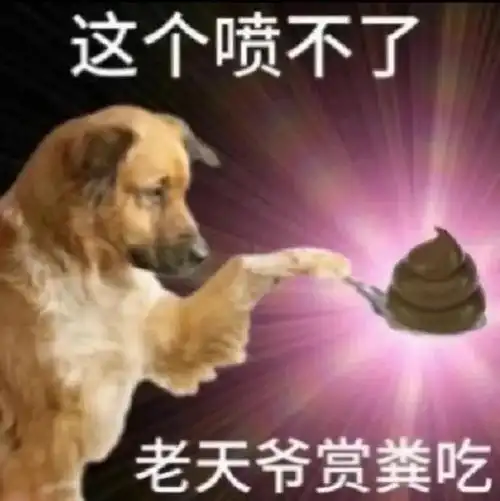 表情包##表情包无水印##搞笑表情包