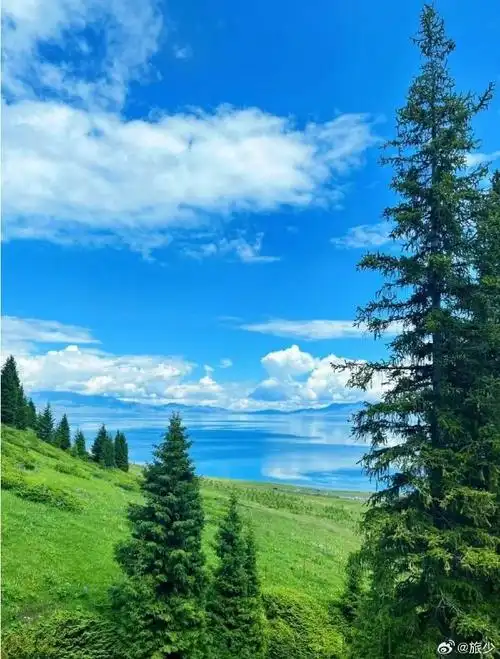 在草原上,牛羊成群,绿草如茵,鲜花盛开.