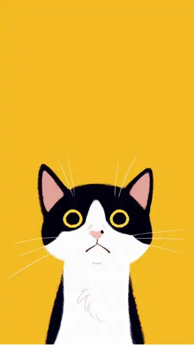 wallpaper iphone wechat 微信背景 壁纸