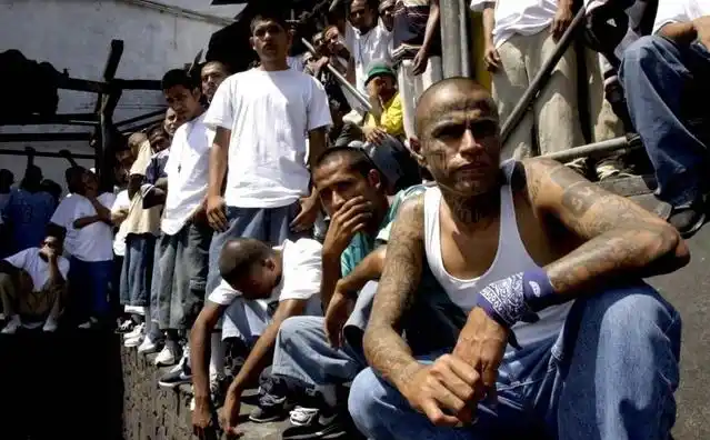 全球最凶狠的黑帮组织 ms-13,ms-13 中的 ms 是西班牙文缩写,意为 "