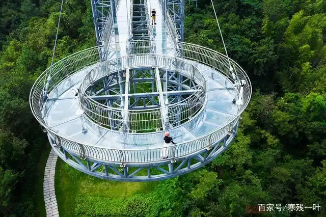 浙江一景区火了!造价500万玻璃栈道有着上帝视角,游客:太美了