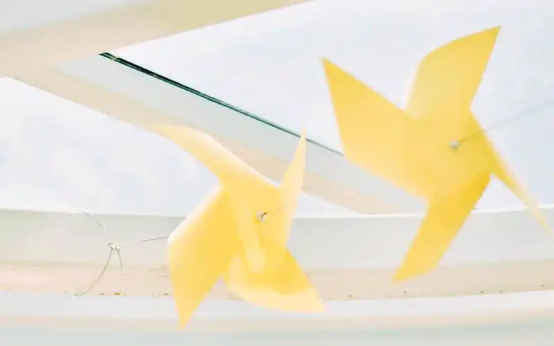 小清新静物高清唯美意境图片壁纸