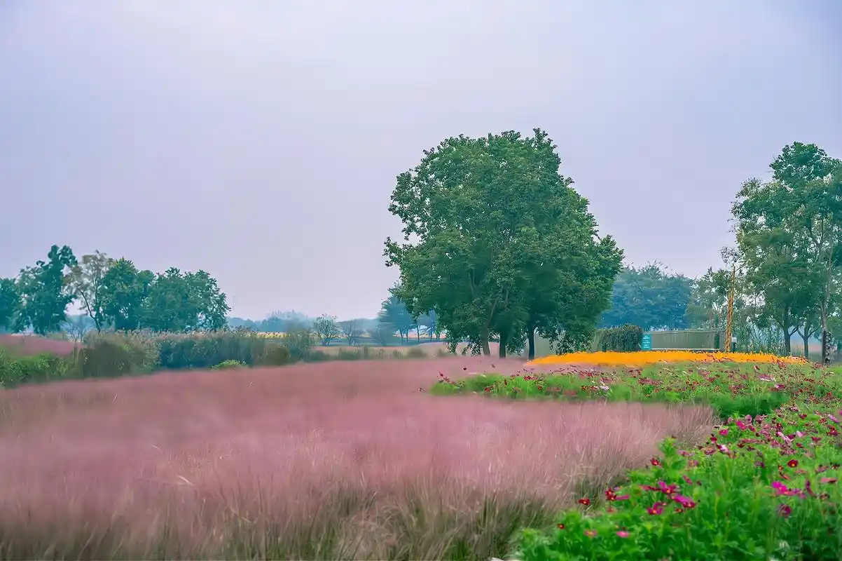 江苏三台山国家森林公园宿迁人的后花园景色美如仙境