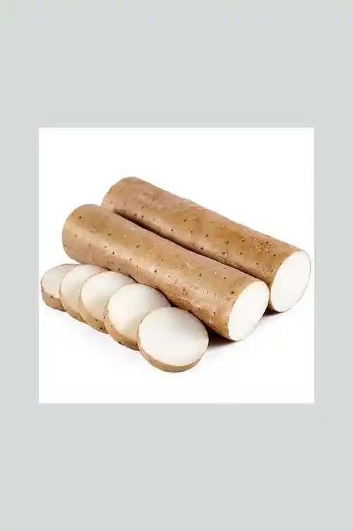 淮山山药麻山药摄影图