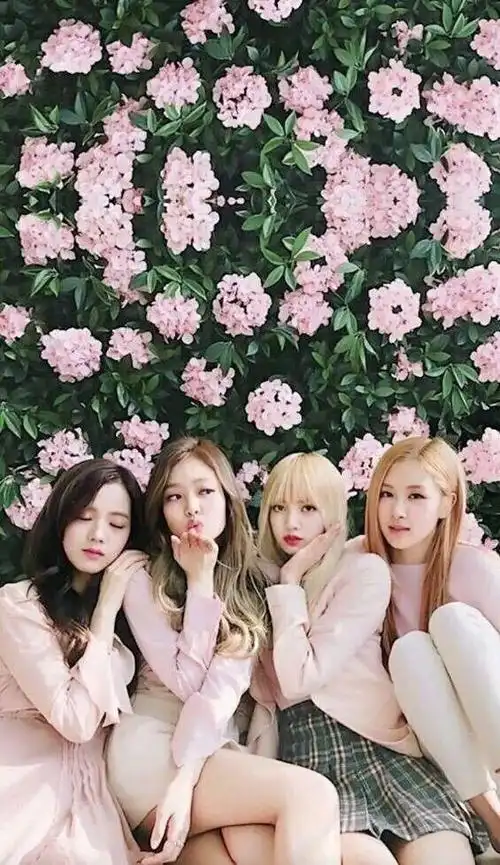 blackpink的背景图片(blackpink 背景)-天晟网
