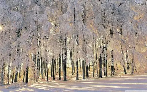 冬季图片冬季唯美风景图片大全