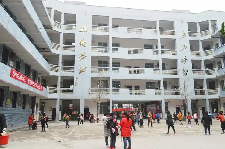 仪陇县金城小学教学楼审计工作为何模糊不清