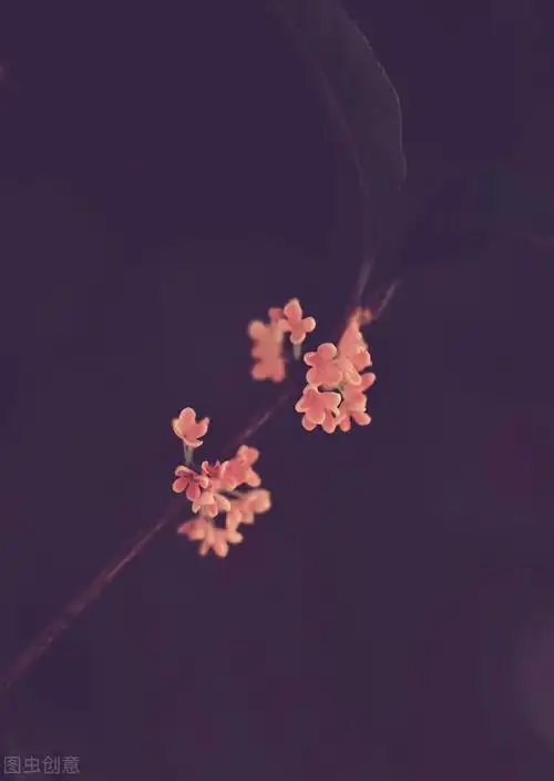 50张唯美禅意风景图片.高清淡雅意境壁纸,让人心静的自然美图