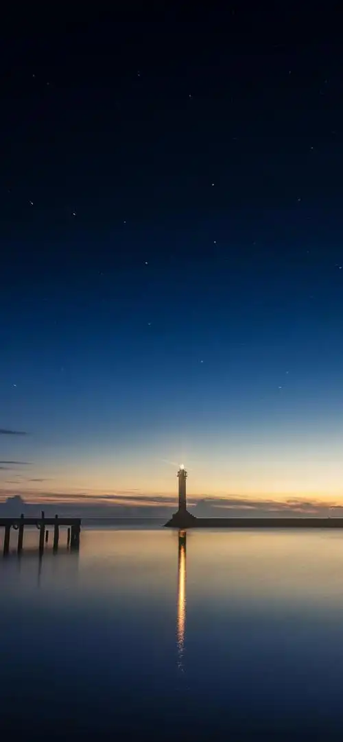 小蜜蜂万群同步,风景唯美简约干净壁纸插图(7)