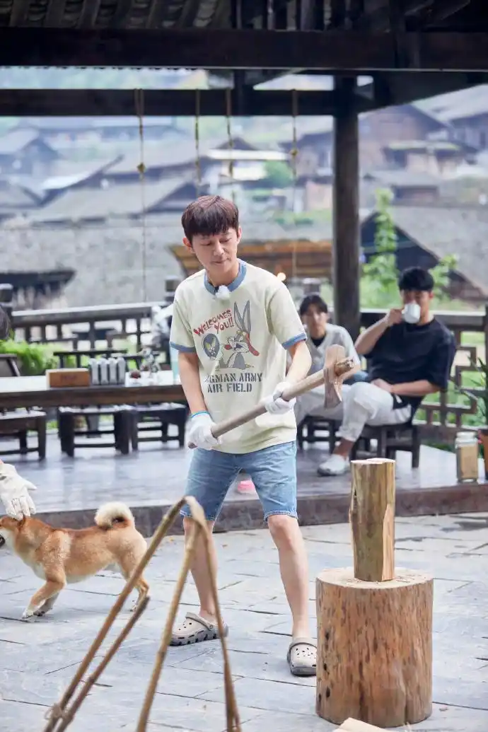 陈赫#向往的生活