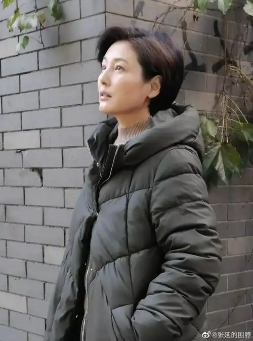 张延个人资料简介张延素颜照被赞气质佳