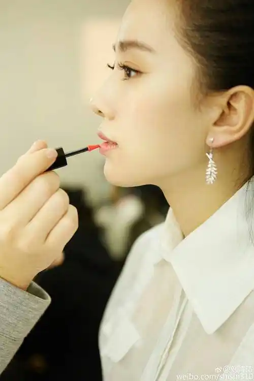 给各女明星下巴后缩p图,刘亦菲刘诗诗都扛不住!