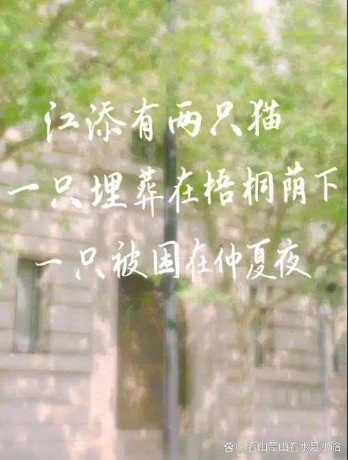 某某  木苏里/手写壁纸